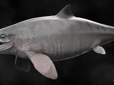 Ophthalmosaurus Low-poly 3D model