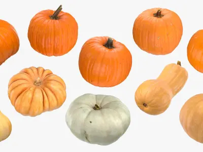 Pumkins Collection 08 - 10 models 3D model