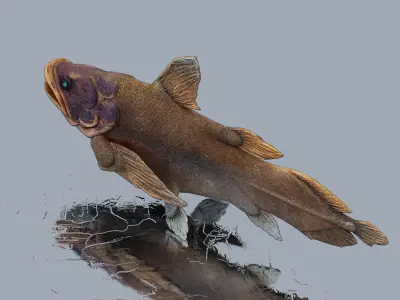Giant arapaima Low-poly 3D model