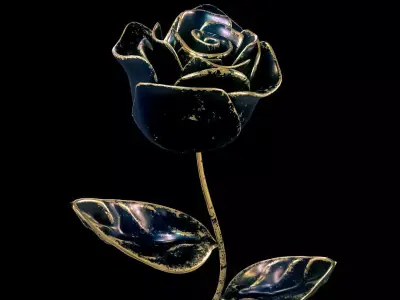 Antique Black Rose 3D model