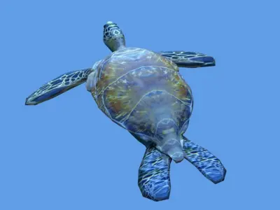 sea turtle lowpoly Low-poly 3D model