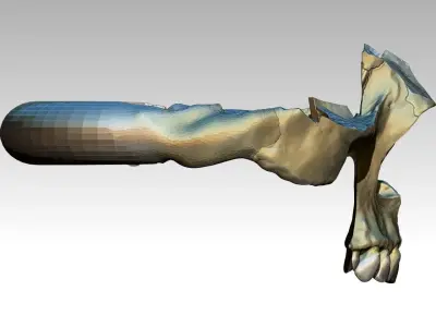 Part  Skull Ring Men Woman Gothic  3D print model