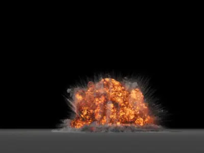 Gasoline Explosion 3D model 3D model