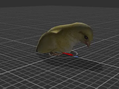 Chick  Low-poly 3D model