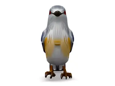 Realistic LowPoly Bird 3D Model Low-poly 3D model