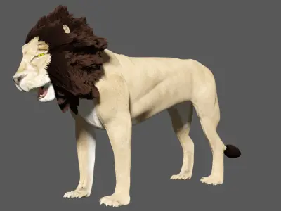 Lion With Basic Rigged 3D model
