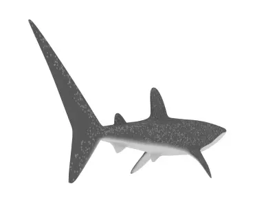 Rigged Low Poly Whale Shark for Blender Free 3D model