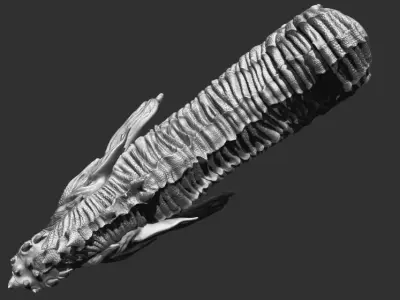 Dragon Head 3D model 4