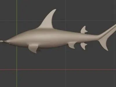 Hammerhead Shark 3D model purchase