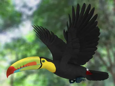 Keel-billed Toucan 3D model