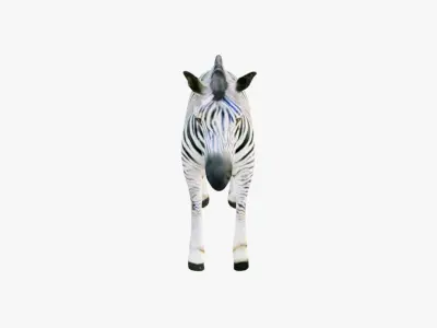 Zebra Free 3D model purchase