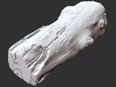 3d scan of tree trunk in highpoly 3D model