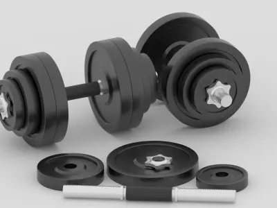 Gym Dumbbell 3D model buy