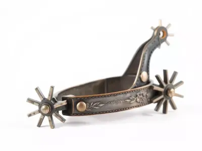 Antique Equestrian Spur model pack Low-poly 3D model