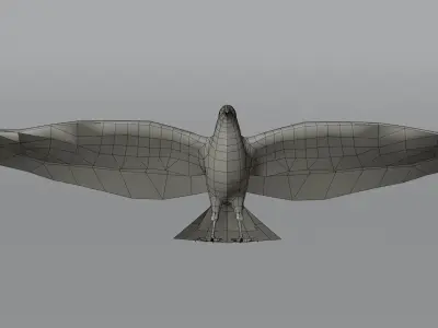 AmericanCrow Low-poly 3D model