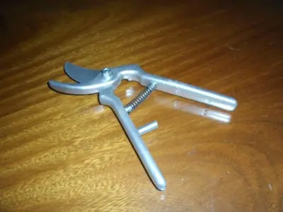 pruning shears Free 3D model