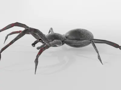Spider Free low-poly 3D model