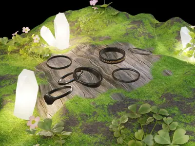 Basic Ring Pack  3D model