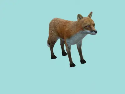 fox lowpoly 3d model 3D model purchase