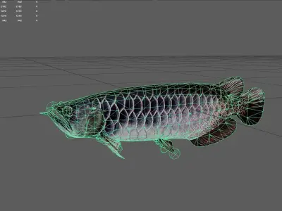 Arowana Low-poly 3D model order