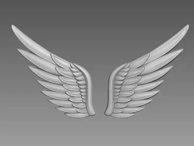 Wings relief 3D model buy