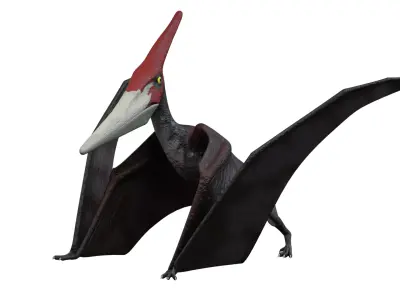 Pteranodon dinosaur with long beak Low-poly 3D model