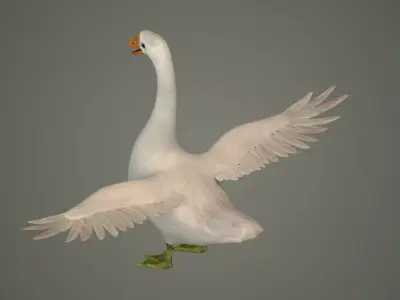 goose bird nature water grass animal neck  3D model