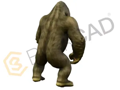 King Kong Giant Gorilla 3D Model High Detail 3D model