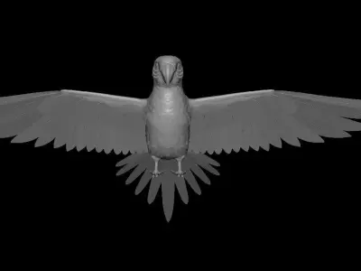 Parrot 3D model get