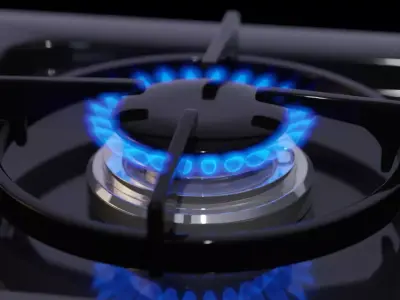Gas Stove Flames 3D model