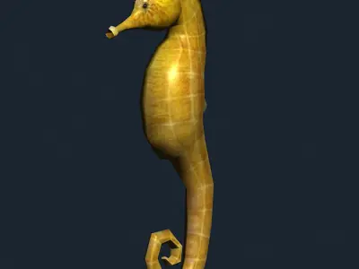3DRT - Sealife - Seahorse Low-poly 3D model