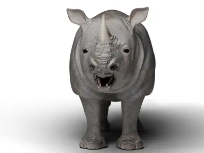 Rhinoceros 3D model
