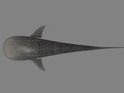 Whale Shark Low-poly 3D model purchase