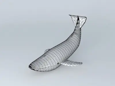 Blue whale Free 3D model