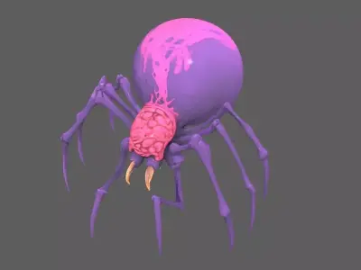 Spider 3D model 27