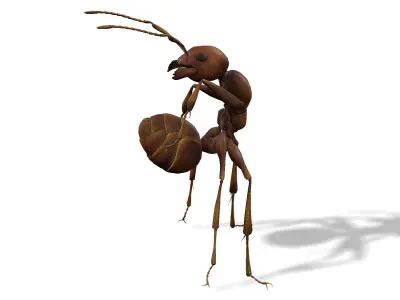 Animated Ant World Rigged Low-poly 3D model