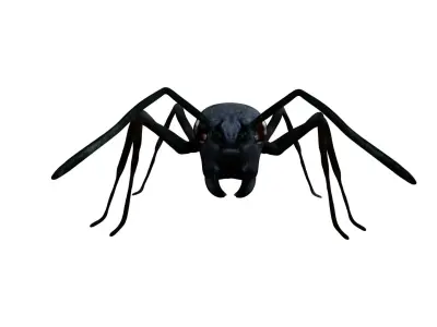 Bullet black Ant Low-poly 3D model