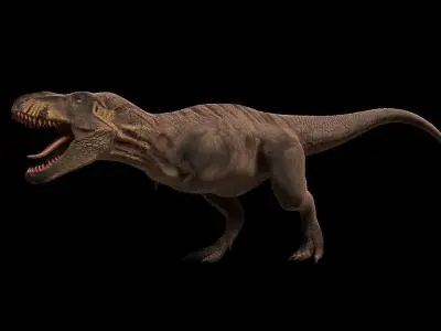 Tyrannosaurus rex 3D model 6