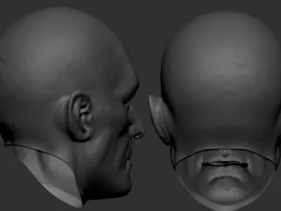 Free 3D model Head  Free 3D model