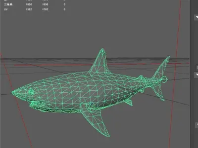 Shark Low-poly 3D model 29