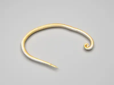 Whipworm 3D model
