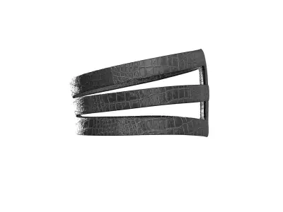 Black Frame Belt 3D model