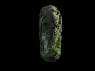 Anydrafts Salix matsudana Burl 05 Low-poly 3D model