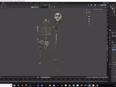Australopithecus skull and skeleton Low-poly 3D model