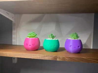 Not Kawaii Pots 1-year commercial licence 3D print model 3D print model