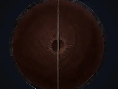 Viking shield Low-poly 3D model 34