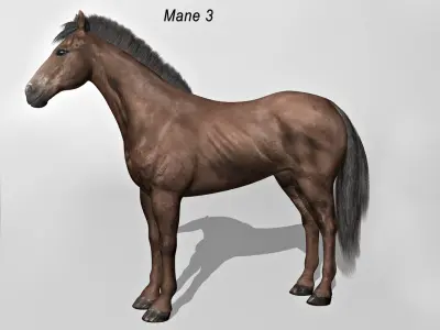 Horse - Dark Brown 3D model purchase