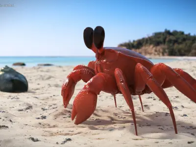  Coastal Burrowing Crab Red 