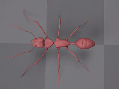 Highpoly Ant Sculpt 3D model