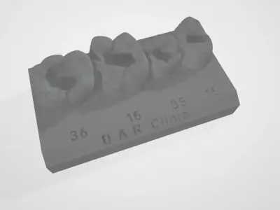 Dental Models For Courses and training  3D print model